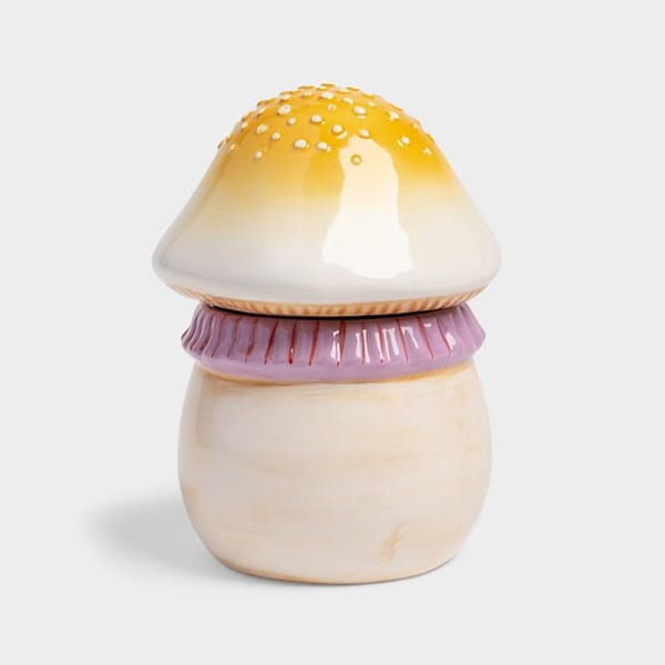 Small Mushroom Jar
