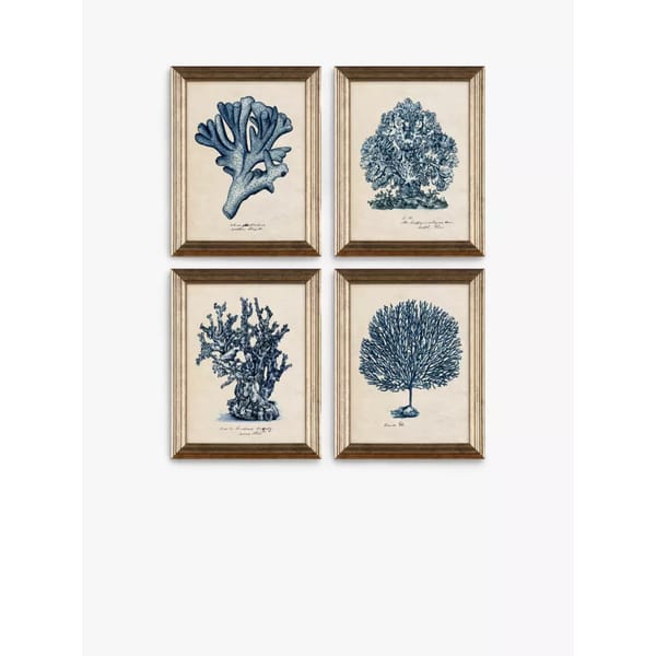 Sea Coral Study Framed Prints