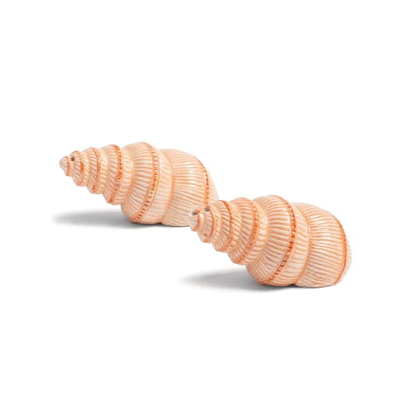 &KLEVERING pink shell salt and pepper shakers