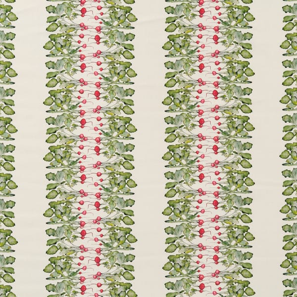 Radish Stripe Fabric