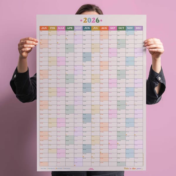 A person holds up a large 2026 wall calendar with months in colourful columns against a pink background. The clean, organised layout perfectly matches the style of 2026 diaries.
