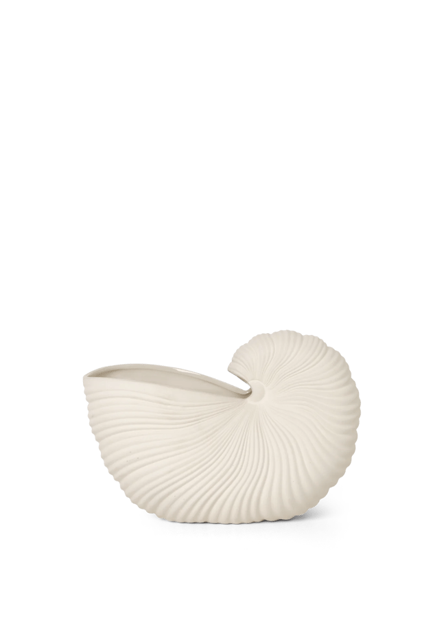 WHITE FERM LIVING CLASSIC Shell Pot