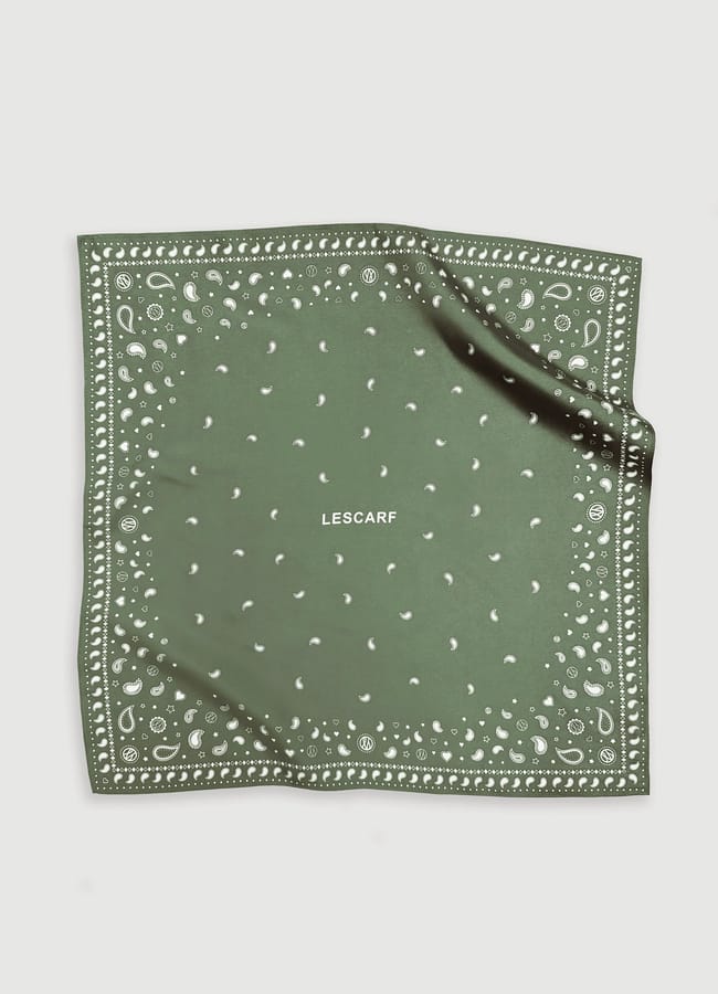 olive green Paisley print scarf