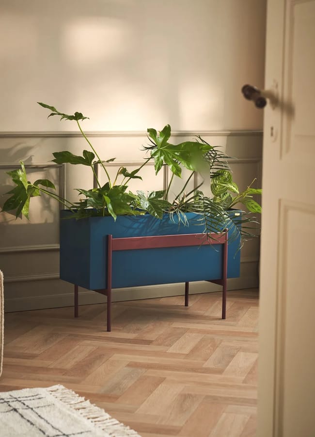 blue planter with plants