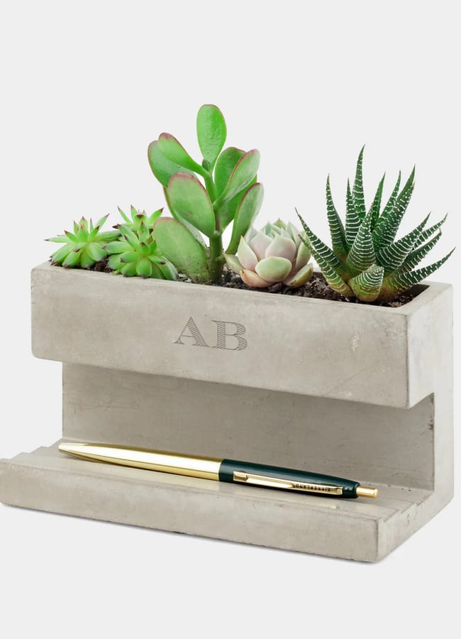 desk planter with succulents