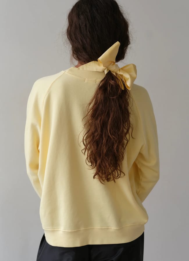 ponytail with DOnni The Taffeta Bow