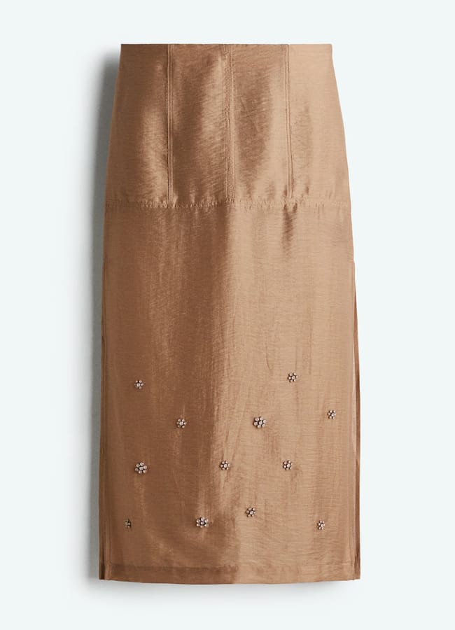 H&M Sheer embellished skirt