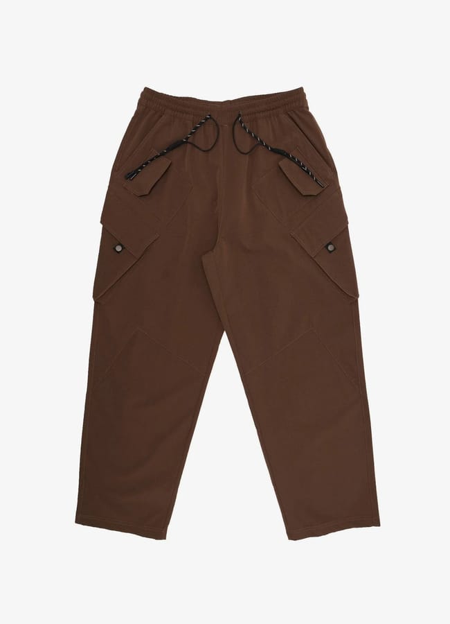brown Wilcox Nylon Pants