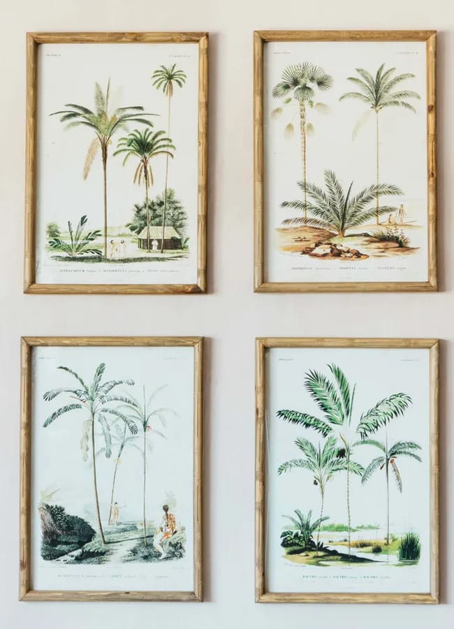 Four framed botanical prints of various palm trees are arranged in a grid on a light-coloured wall, offering high street homeware style. Each print features detailed, vintage-style illustrations of different palm tree varieties.