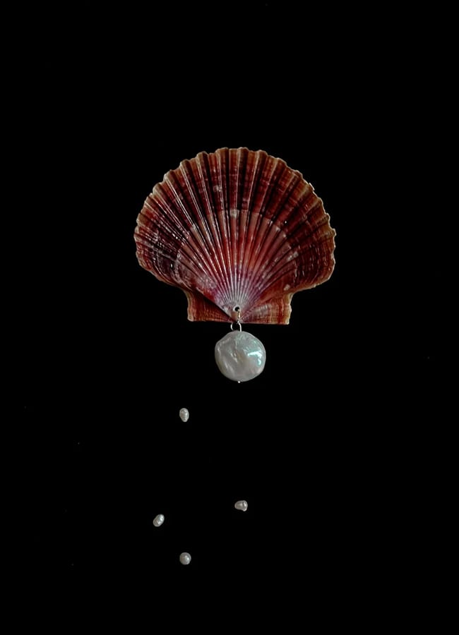 A reddish-brown seashell is positioned upright on a black background, with a large white pearl and several smaller pearls appearing to fall from the shell—evoking a brooch that inspires effortless style transformation.