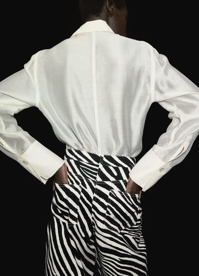 A person stands with hands on hips, wearing a sheer white long-sleeved shirt and high-waisted zebra print trousers, the bold zebra pattern standing out against a solid black background. The image is shown from the back.