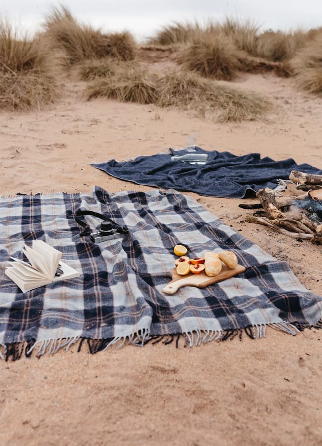 A checked blanket on sandy dunes displays picnic essentials: an open book, binoculars, and a wooden tray with bread and fruit. A darker blanket and driftwood rest in the background among beach grass.