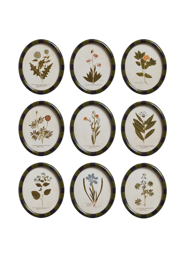 Nine round decorative plates with botanical illustrations of various flowers, each labelled with plant names, are arranged in a three-by-three grid against a white background—evoking the vibrant charm often found in maximalist hotels.