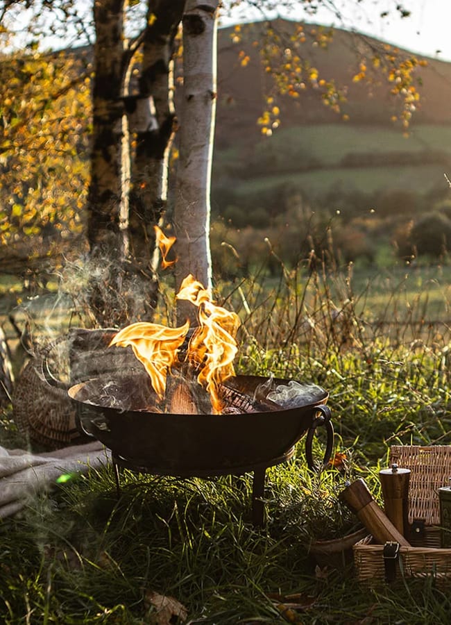 A campfire burns in a metal fire pit on green grass, surrounded by picnic items and trees, with a scenic view of hills under a warm evening light—the perfect setting for an outdoor film night.