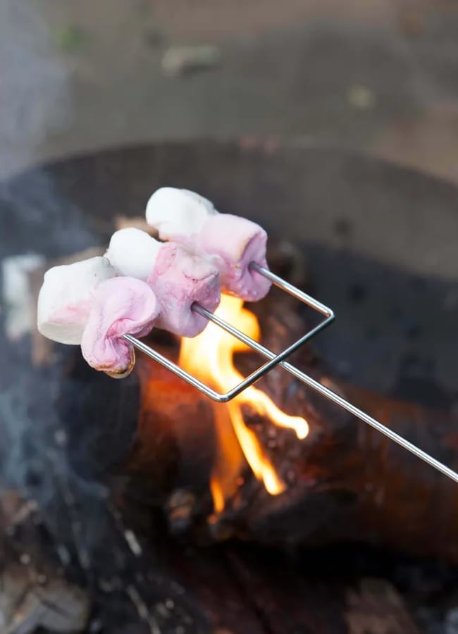 Three marshmallows and two gummy sweets are skewered on a metal stick being roasted over an open campfire, with visible flames and logs in the background—perfect for adding a bit of sweetness to your outdoor-film-night-at-home.