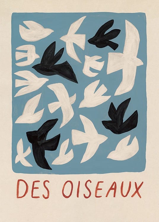 poster with birds and text 'dse oiseaux'