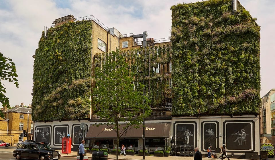 Green Living Walls - Rubens at the Palace