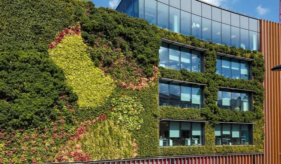 MTV Offices Green Wall